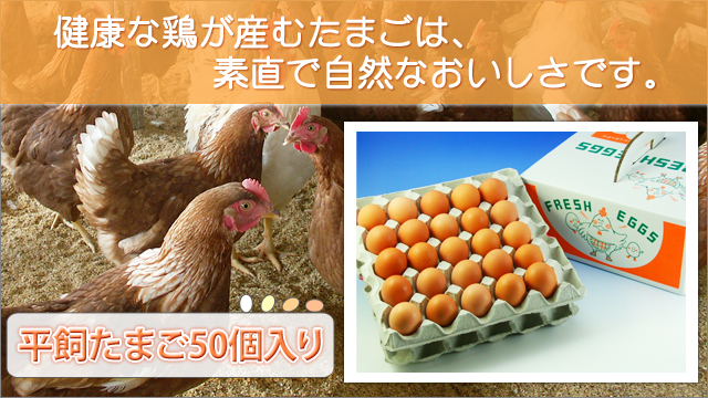 本物新品保証】 幸せな鶏たちの産みたて卵20個 平飼い放し飼い 抗生物質など薬剤投与一切なし